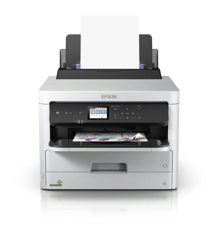 epson-durabrite-pro