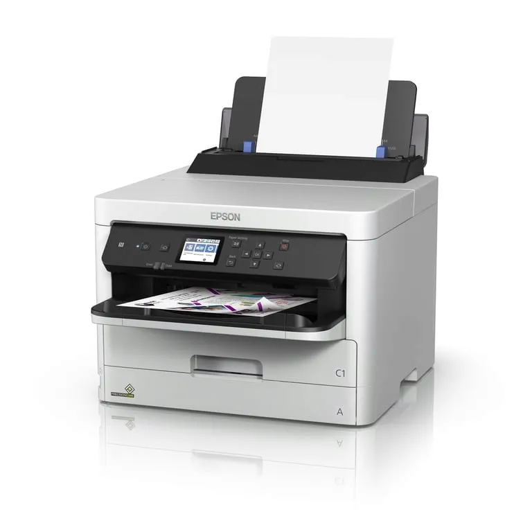 epson-durabrite-pro