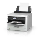 epson-durabrite-pro