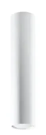 minimalistyczny-downlight-sufitowy-sl-0998-biala-lampa-tuba