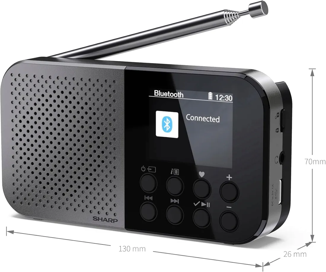 radio-sieciowe-dab-fm-internetowe-sharp-dr-p520gy