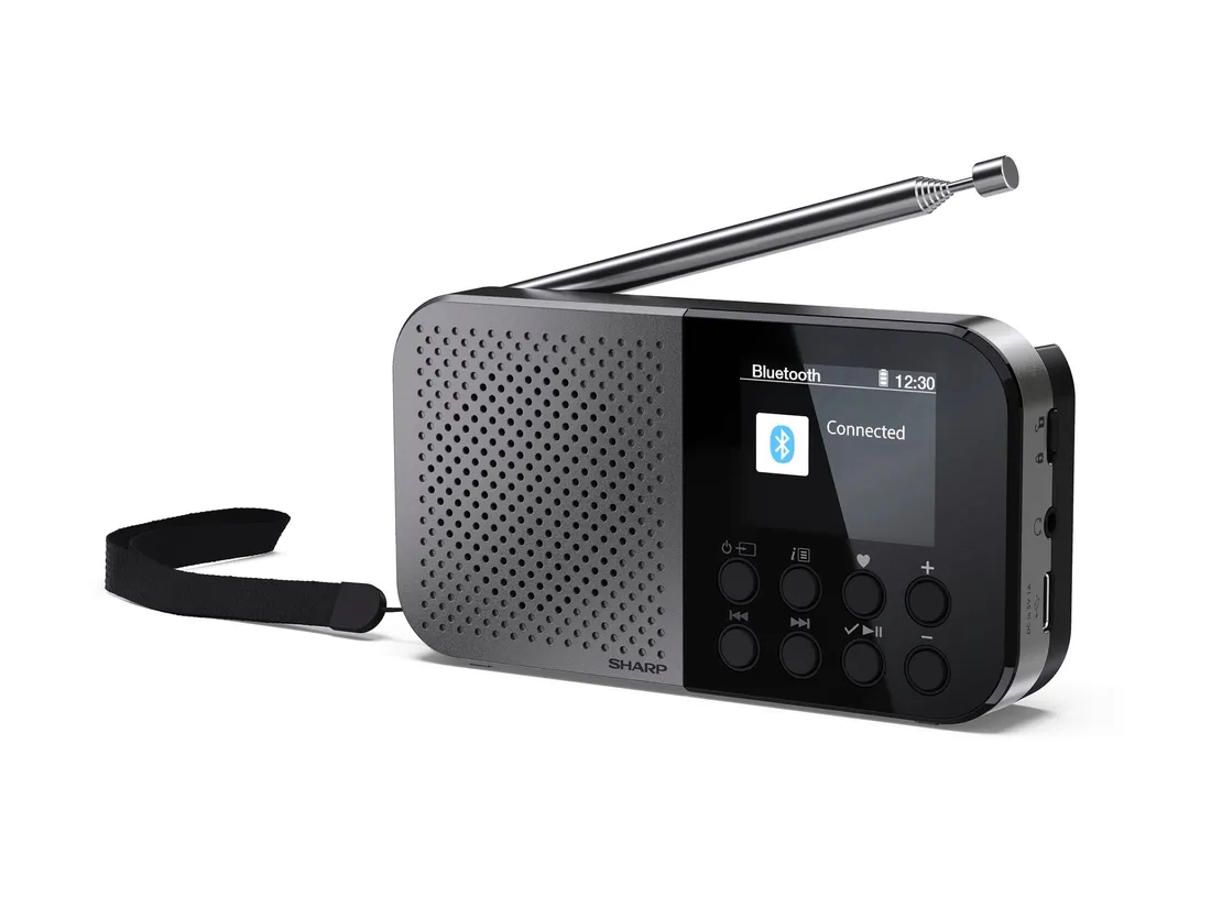 radio-sieciowe-dab-fm-internetowe-sharp-dr-p520gy