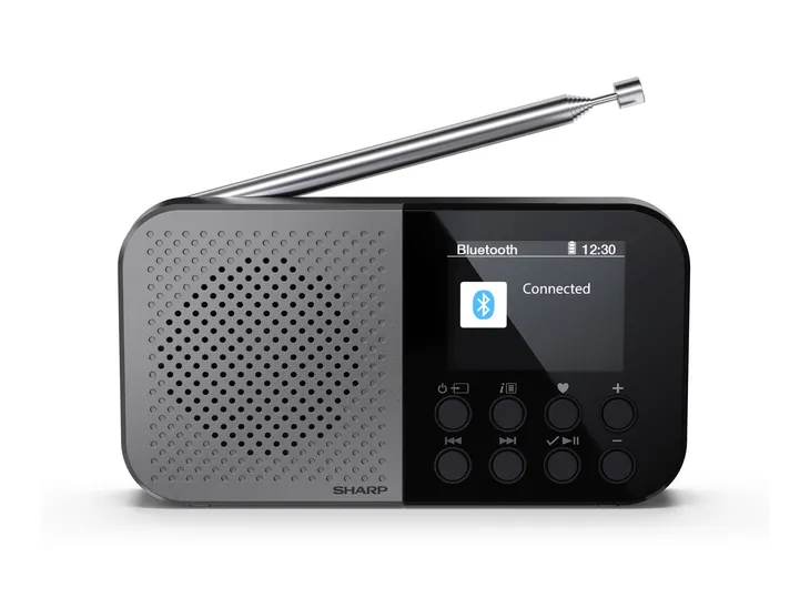 radio-sieciowe-dab-fm-internetowe-sharp-dr-p520gy-waga-produktu-0-4-kg