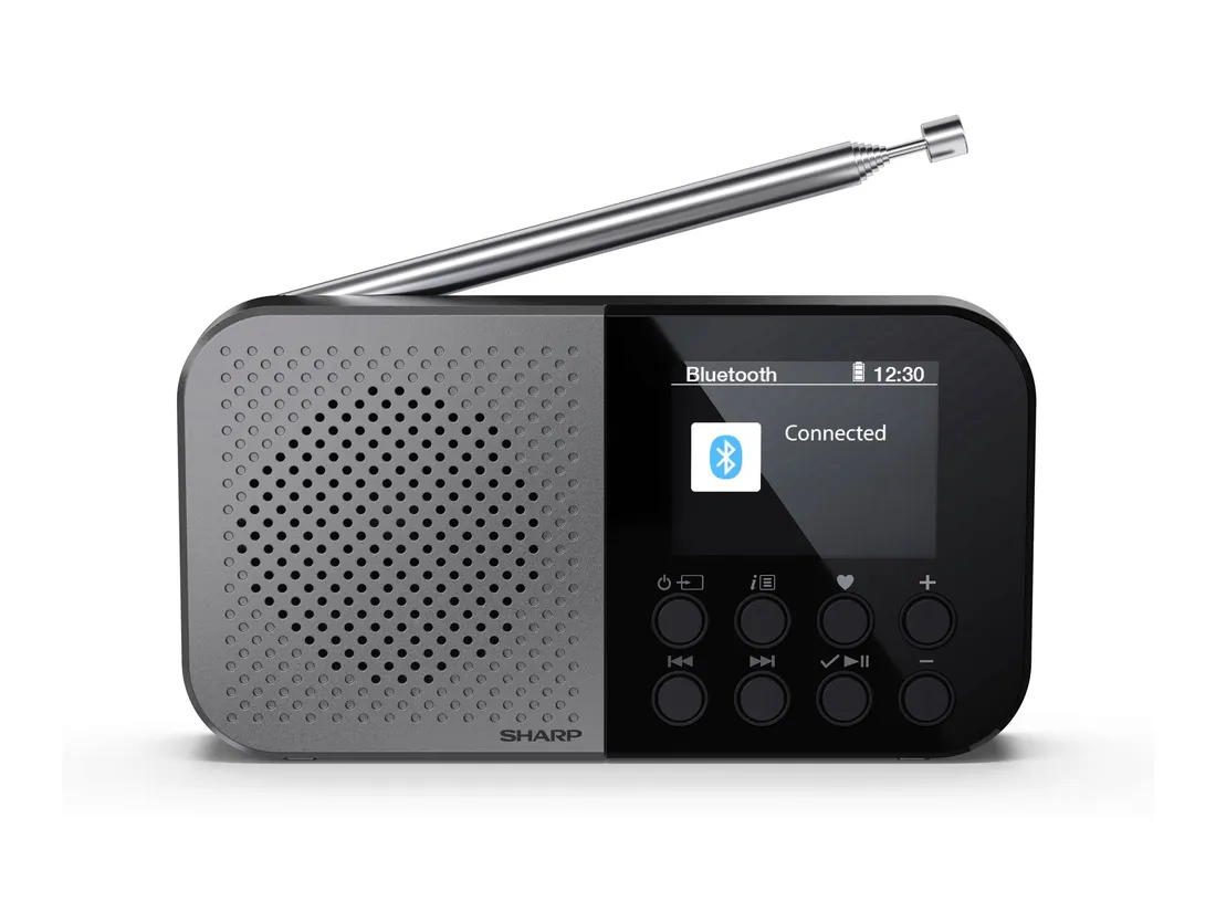 radio-sieciowe-dab-fm-internetowe-sharp-dr-p520gy