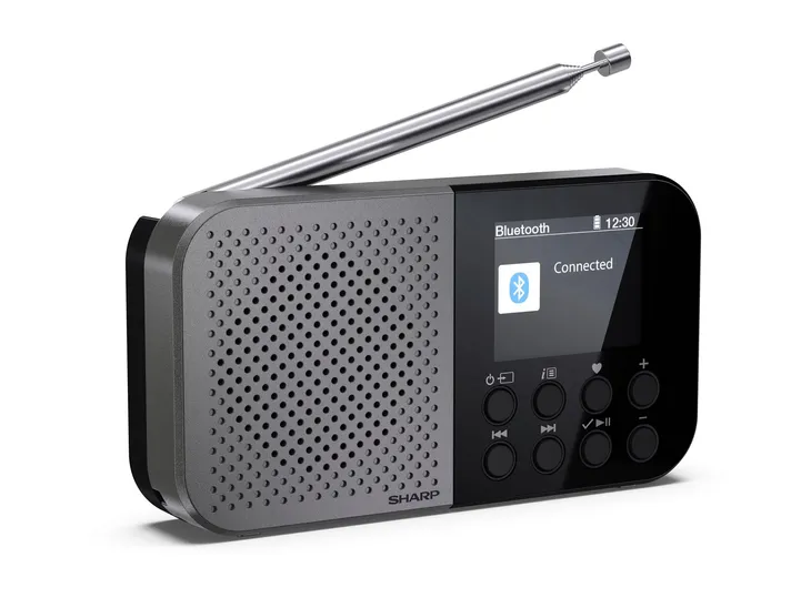 radio-sieciowe-dab-fm-internetowe-sharp-dr-p520gy-kolor-szary