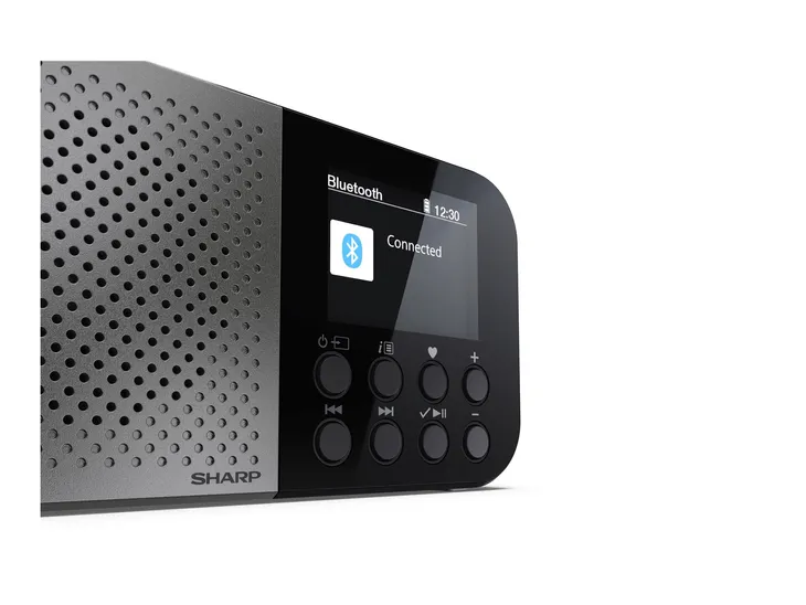 radio-sieciowe-dab-fm-internetowe-sharp-dr-p520gy-radio-dab