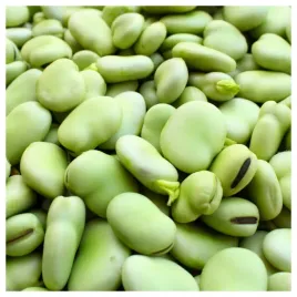 bob-bolero-bardzo-smaczny-wczesny-nasiona-warzyw