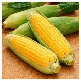 kukurydza-cukrowa-gucio-f1-slodka-idealna-do-gotowania-nasiona-warzyw