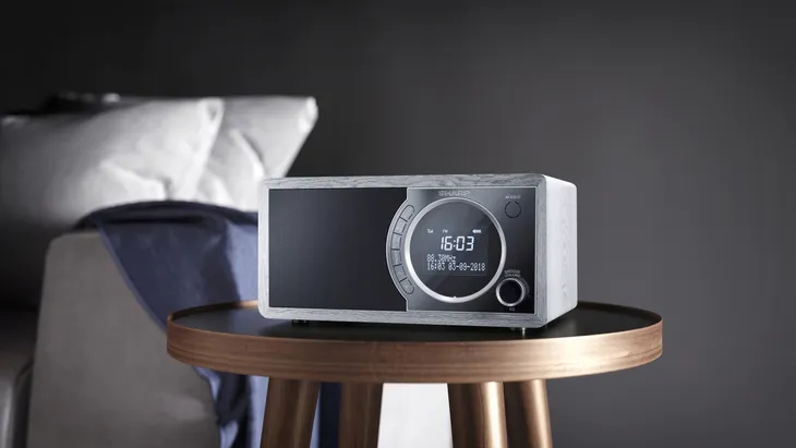 radio-sieciowe-dab-fm-sharp-dr-450-gr-wysokosc-produktu-14-5-cm