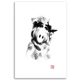 obraz-na-plotnie-portret-alfa-pechane-40x60-sposob-wykonania-druk-cyfrowy