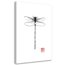 obraz-na-plotnie-wazka-bandw-pechane-40x60