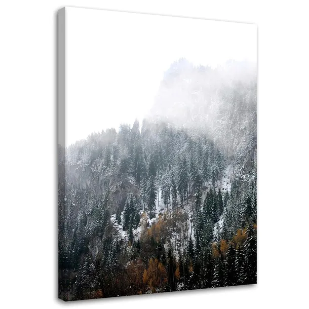 obraz-na-plotnie-zasniezone-gory-40x60