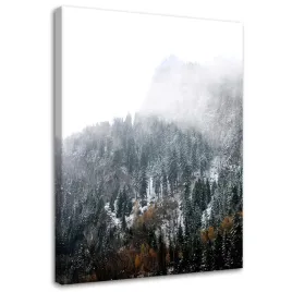 obraz-na-plotnie-zasniezone-gory-40x60