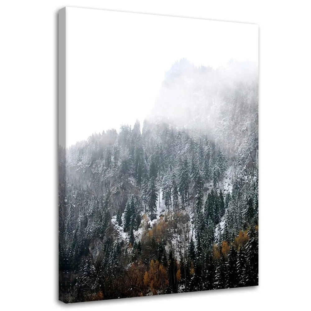 obraz-na-plotnie-zasniezone-gory-40x60