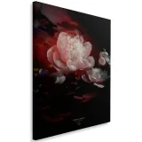 obraz-na-plotnie-piwonie-40x60