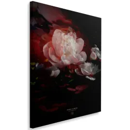 obraz-na-plotnie-piwonie-40x60