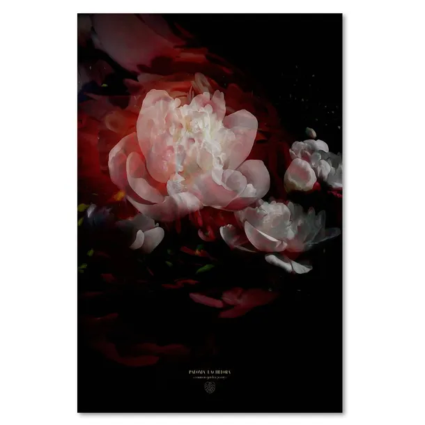 obraz-na-plotnie-piwonie-40x60-sposob-wykonania-druk-cyfrowy