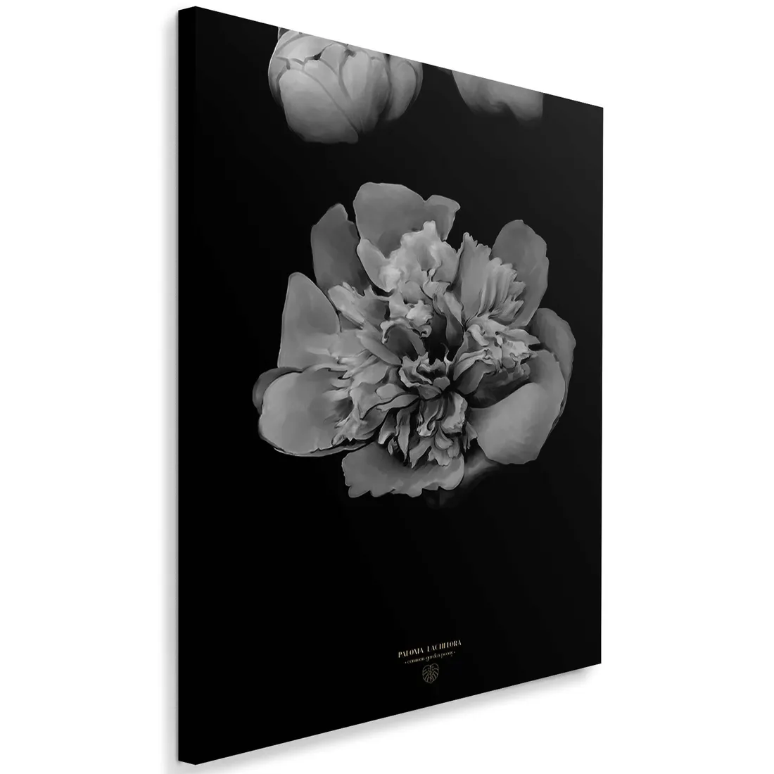 obraz-na-plotnie-piwonia-bandw-40x60