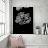 obraz-na-plotnie-piwonia-bandw-40x60-stan-nowy