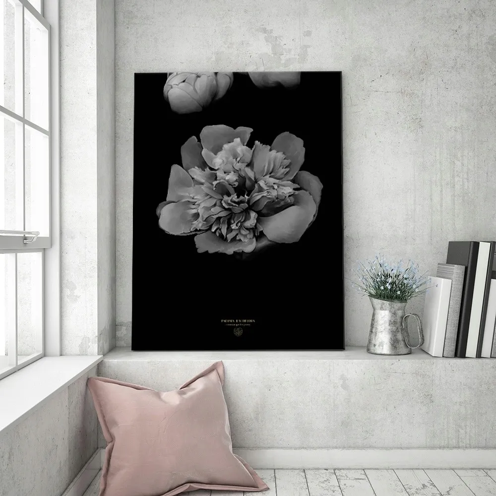 obraz-na-plotnie-piwonia-bandw-40x60