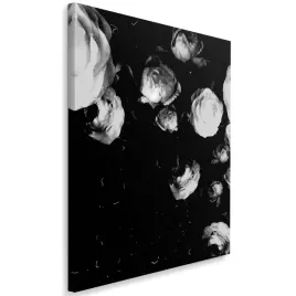 obraz-na-plotnie-piwonie-bandw-40x60