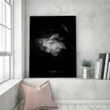 obraz-na-plotnie-czarno-biala-piwonia-40x60-stan-nowy