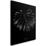 obraz-na-plotnie-monstera-detal-40x60
