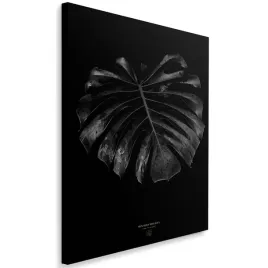 obraz-na-plotnie-monstera-detal-40x60