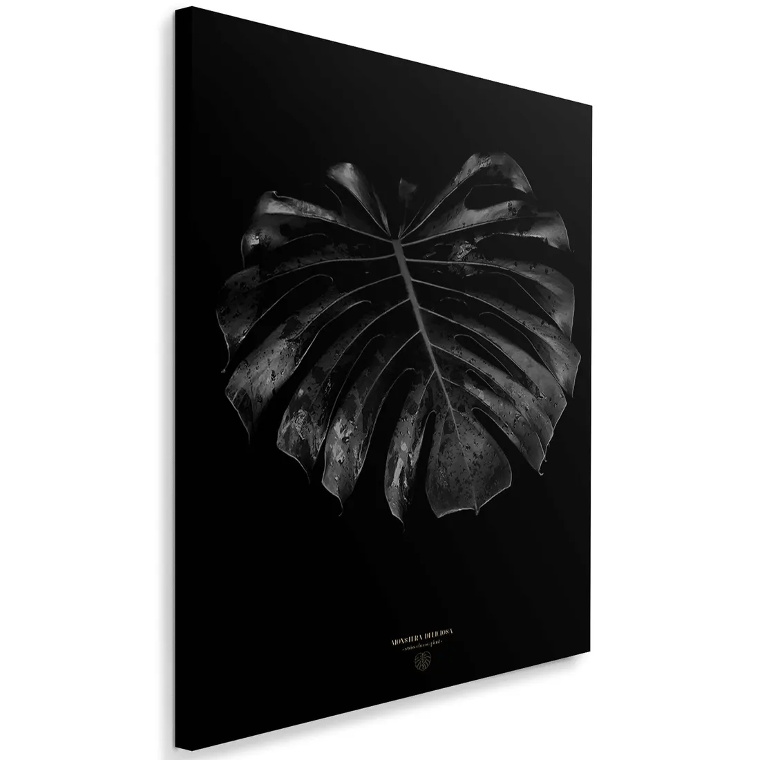 obraz-na-plotnie-monstera-detal-40x60