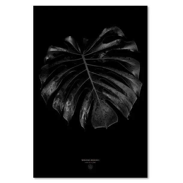 obraz-na-plotnie-monstera-detal-40x60-sposob-wykonania-druk-cyfrowy