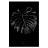 obraz-na-plotnie-monstera-detal-40x60-sposob-wykonania-druk-cyfrowy