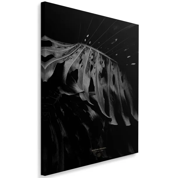 obraz-na-plotnie-monstera-bandw-40x60