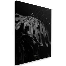 obraz-na-plotnie-monstera-bandw-40x60