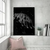 obraz-na-plotnie-monstera-bandw-40x60-stan-nowy