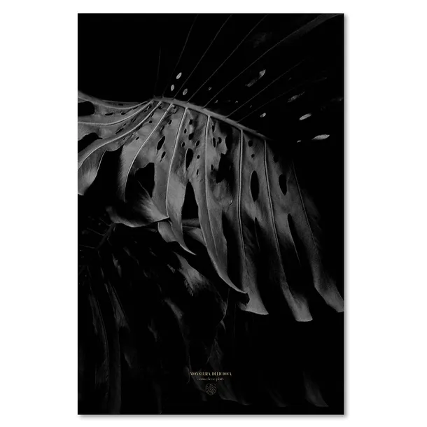obraz-na-plotnie-monstera-bandw-40x60-sposob-wykonania-druk-cyfrowy