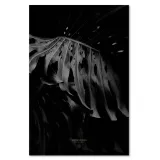 obraz-na-plotnie-monstera-bandw-40x60-sposob-wykonania-druk-cyfrowy