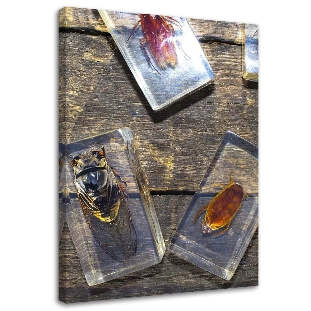 obraz-na-plotnie-owady-w-szkle-40x60