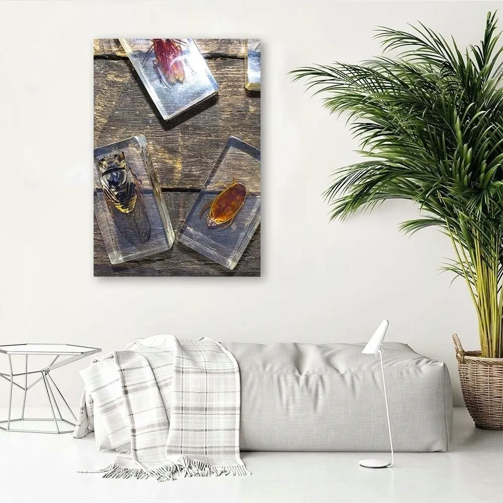 obraz-na-plotnie-owady-w-szkle-40x60