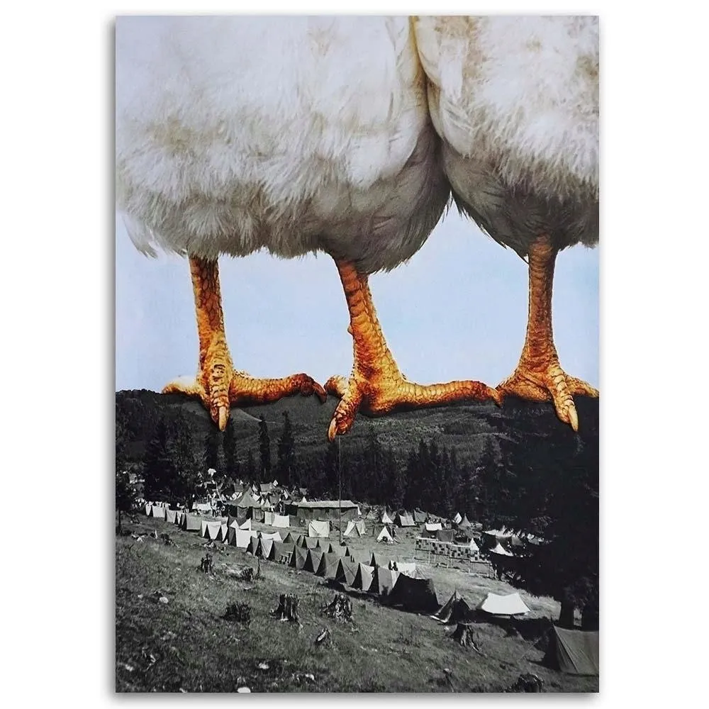 obraz-plotno-kury-stojace-na-gorach-40x60