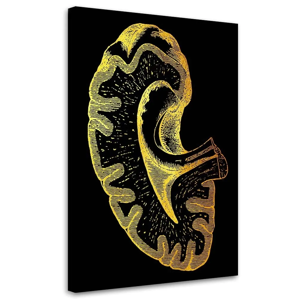 obraz-plotno-artystyczne-ujecie-anatomii-40x60