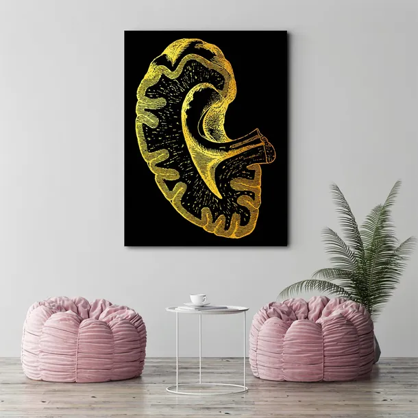 obraz-plotno-artystyczne-ujecie-anatomii-40x60-stan-nowy