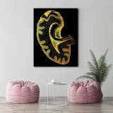 obraz-plotno-artystyczne-ujecie-anatomii-40x60-stan-nowy