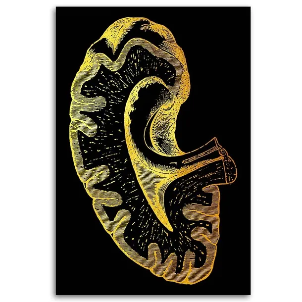obraz-plotno-artystyczne-ujecie-anatomii-40x60-sposob-wykonania-druk-cyfrowy