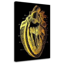 obraz-na-plotnie-serce-40x60
