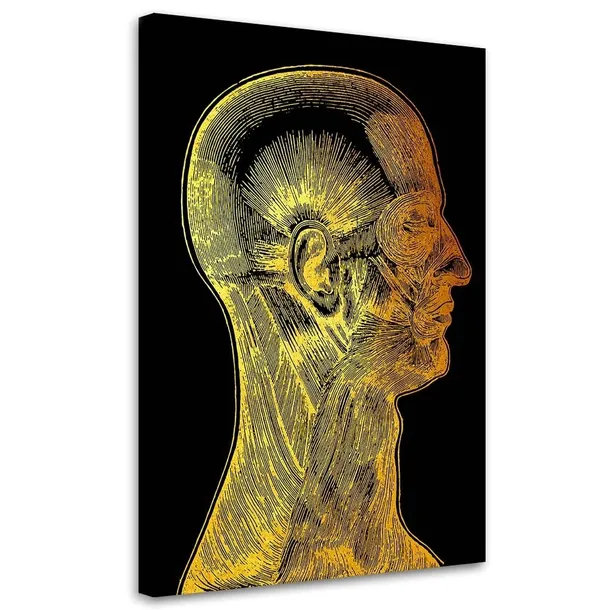 obraz-na-plotnie-miesnie-twarzy-40x60