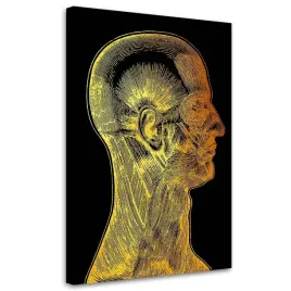 obraz-na-plotnie-miesnie-twarzy-40x60