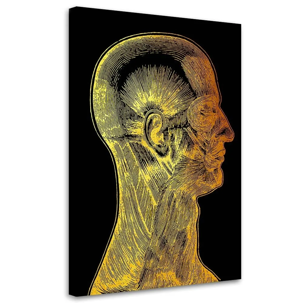 obraz-na-plotnie-miesnie-twarzy-40x60