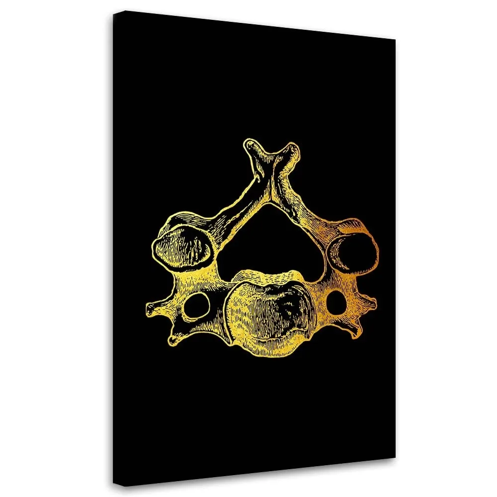 obraz-na-plotnie-anatomia-czlowieka-40x60
