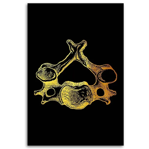 obraz-na-plotnie-anatomia-czlowieka-40x60-sposob-wykonania-druk-cyfrowy