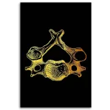 obraz-na-plotnie-anatomia-czlowieka-40x60-sposob-wykonania-druk-cyfrowy